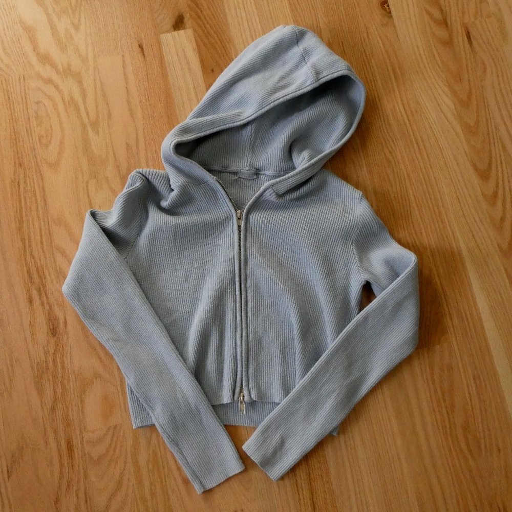 Brandy Melville Baby Blue Arden Crop Hoodie